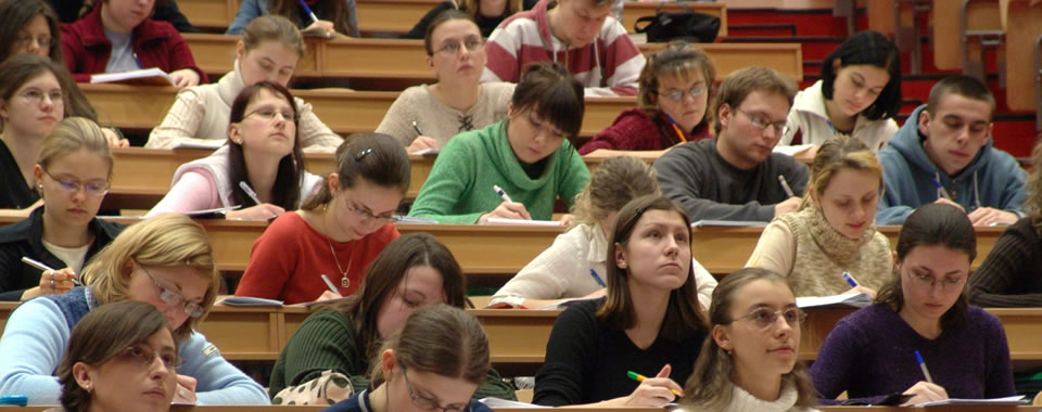 网络手机号免费版